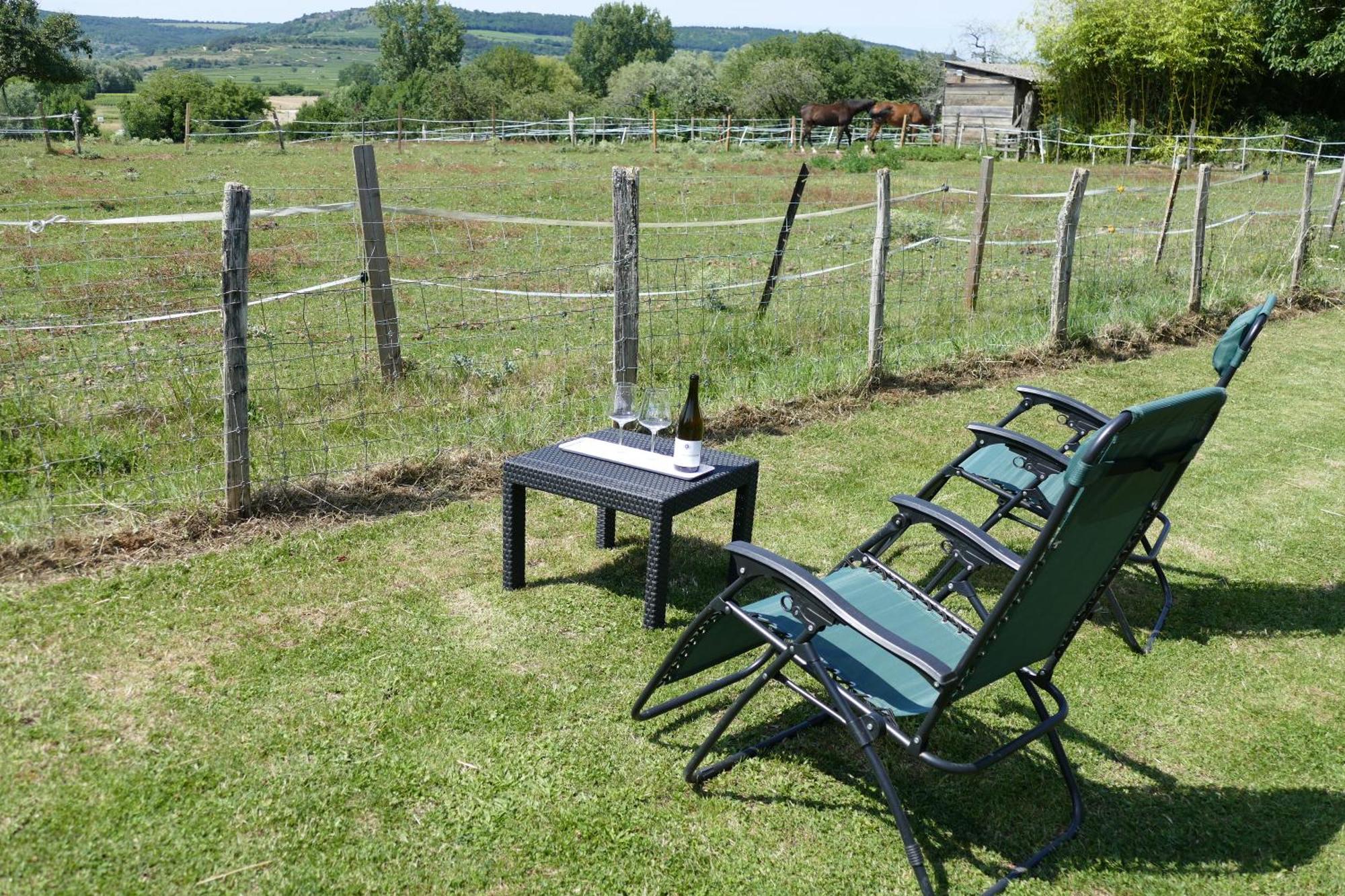 Les Grands Crus - Gite Meursault Corpeau Exterior foto